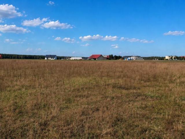Błonie 1 193 m², Bukowiec