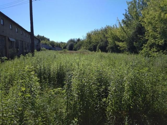Błonie, 2 500 m2