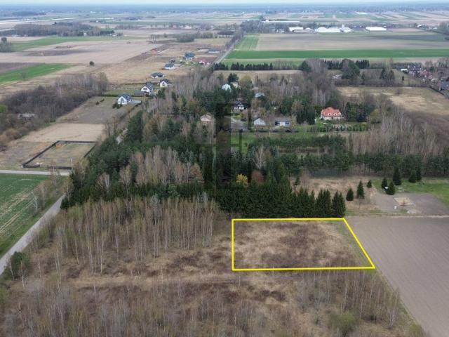 Działka 2000 m² pod dom w Błoniu – MPZP, media, natura