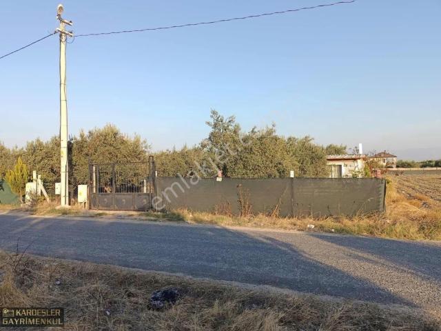 B.osmaniyede Satılık Asfalt Üstü Yazlık Bahçe