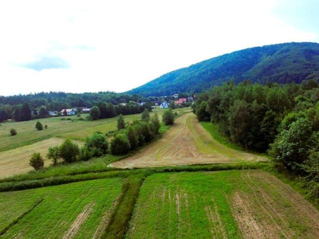 Bławatków 5 130 m², Czaniec