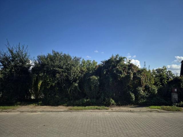Bławatna 706 m², Olsztyn