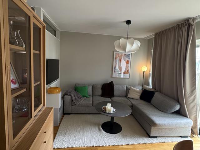 Bågljusvägen