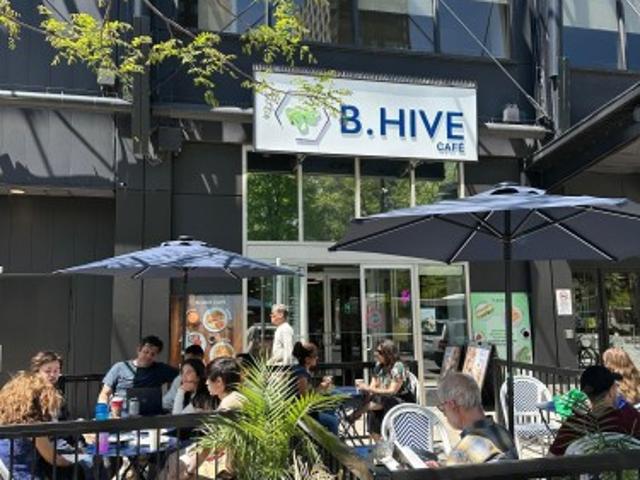 B.Hive 1 2313 Rue Ste Catherine O. Montréal Ville Marie, QC, H3H 1N2 commercial for sale | Listing ID 23944 | Royal LePage