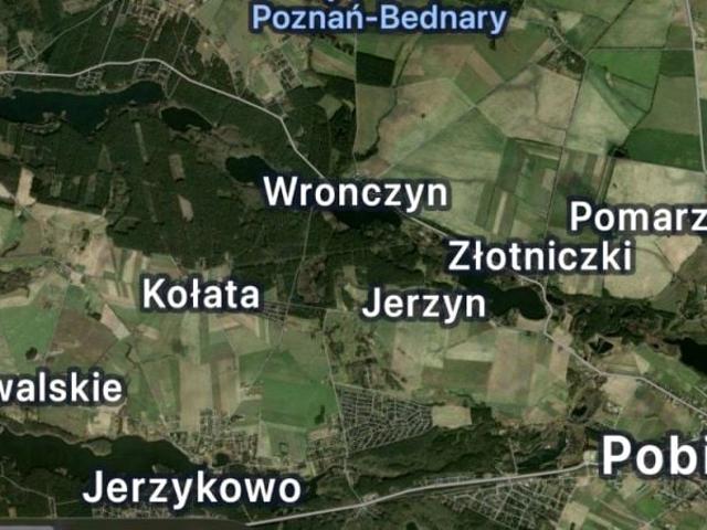 Błękitna 1 239 m², Złotniczki