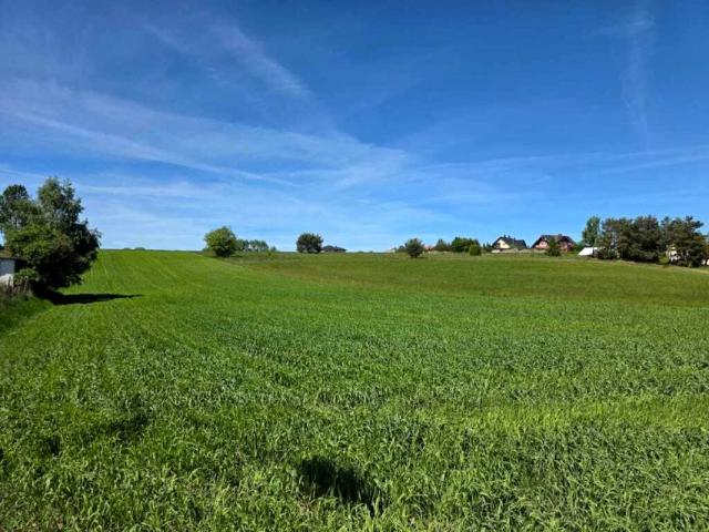 Błękitnej Armii 4 900 m², Dzierżążno