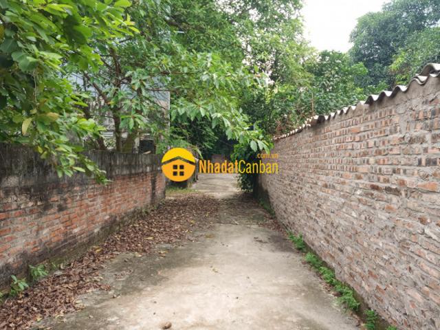Bất động sản toàn dân, 56m đình dù, 888 triệu, gần chợ đường cái