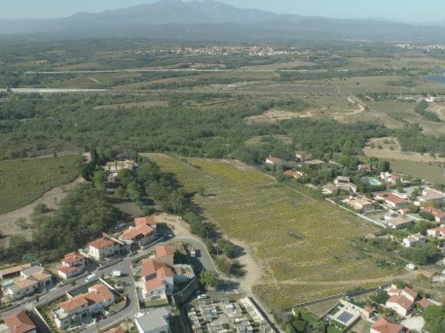 Banyuls dels Aspres Vente Terrain 66