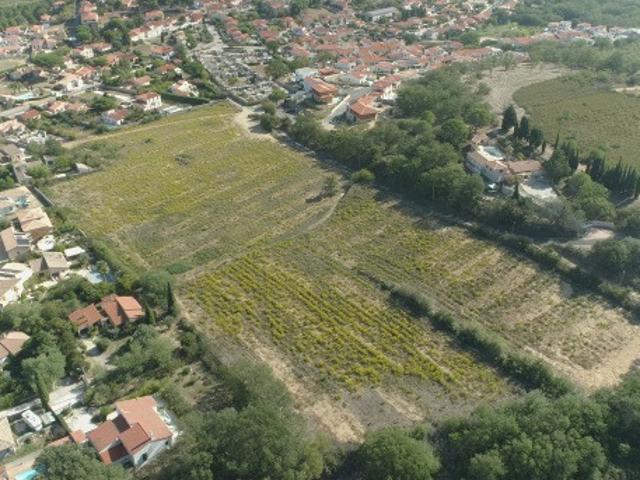 Banyuls dels Aspres Vente Terrain 66