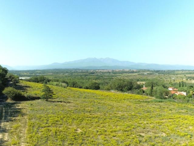 Banyuls dels Aspres Vente Terrain 66