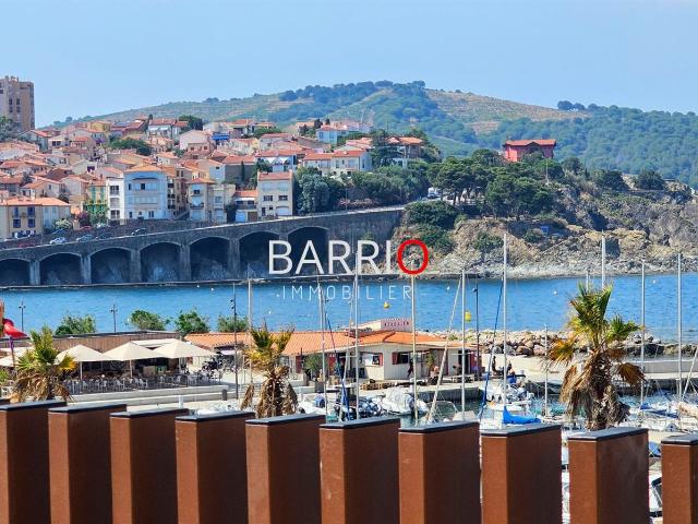 Banyuls Rare appartement 98 M² Terrasse Garage Parking Vue M. 98m² Banyuls sur Mer