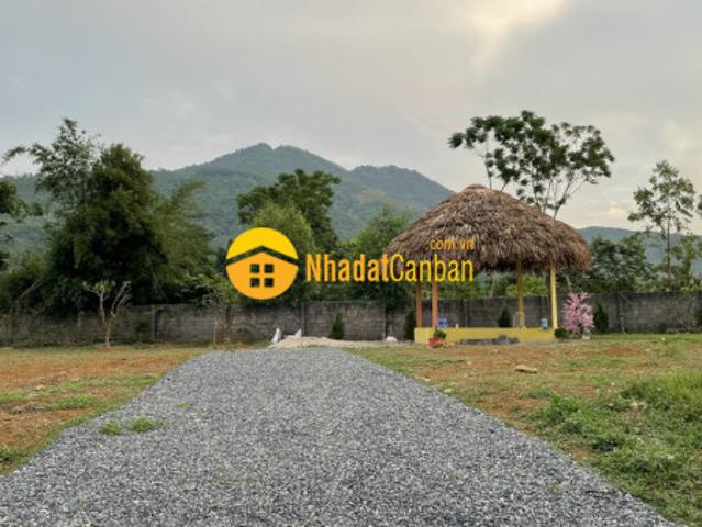 Bán 1000m đất nghỉ dưỡng tại cư yên lương sơn