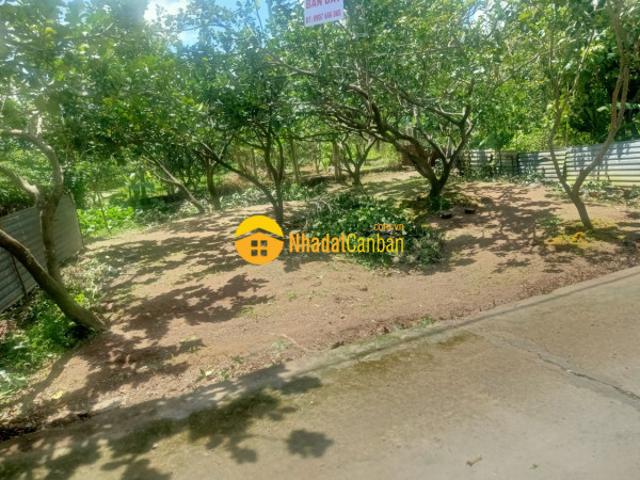 Bán 122m2 đất mt đường nông thôn xã tiên long bến tre. 450tr. Lh0971051