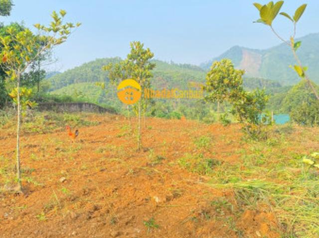Bán 1237m2 đất nghỉ dưỡng, view đổi núi cao thoáng tại yên trung thạch thất, giá nhỉnh 5trm2