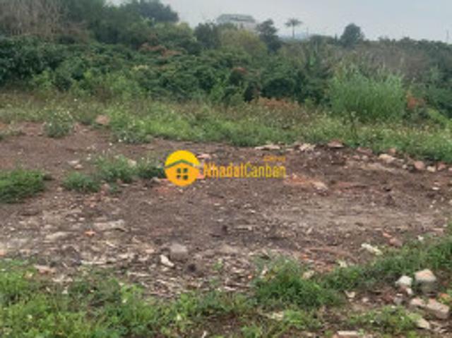 Ban 2202m2 đât băc ninh gia chi hơn 1trm2
