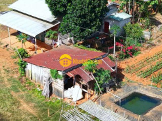 Bán 28.000m2 đất mặt tiền đường nhựa chính xã tà năng, đức trọng, lâm đồng chỉ 15 tỷ