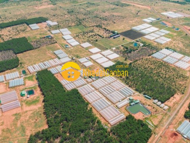 Bán 2 lô đất hòa thắng mặt tiền đường 16m giá chỉ 130km2