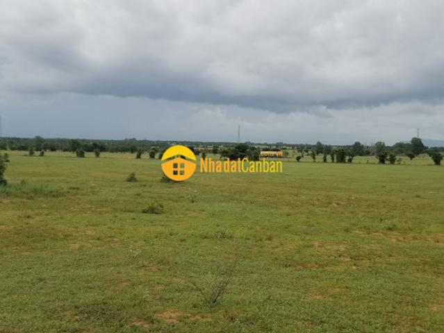 Bán 4743m2 đất vườn hoà thắng, sổ vuông mặt tiền 60m giá 450tr, cách liên huyện 200m lh 0938677