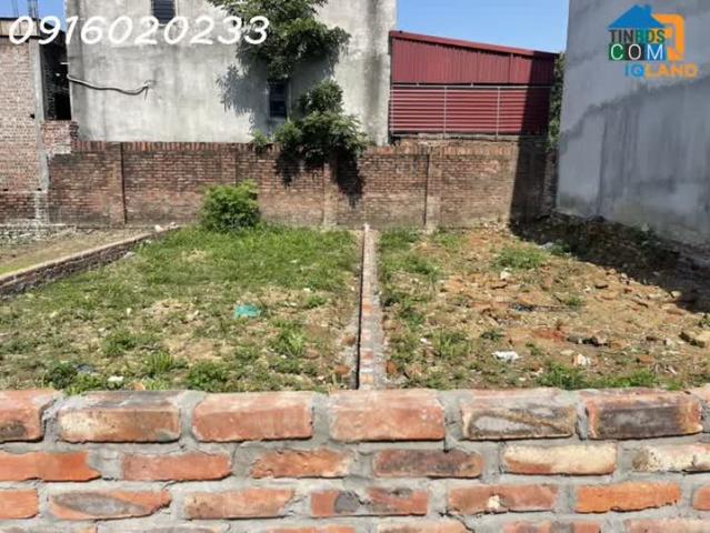 Bán 59M Bắc Hạ, Quang Tiến, Sóc Sơn, Hà Nội. Full Thổ Cư Đường Ô Tô Gần Hồ Thoáng Mát. Vị Trí