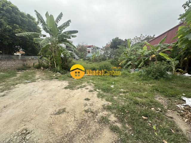 Bán 695m2 ô đất rộng tại xóm láp, liên bảo, vĩnh yên, vĩnh phúc. Lh 0986934