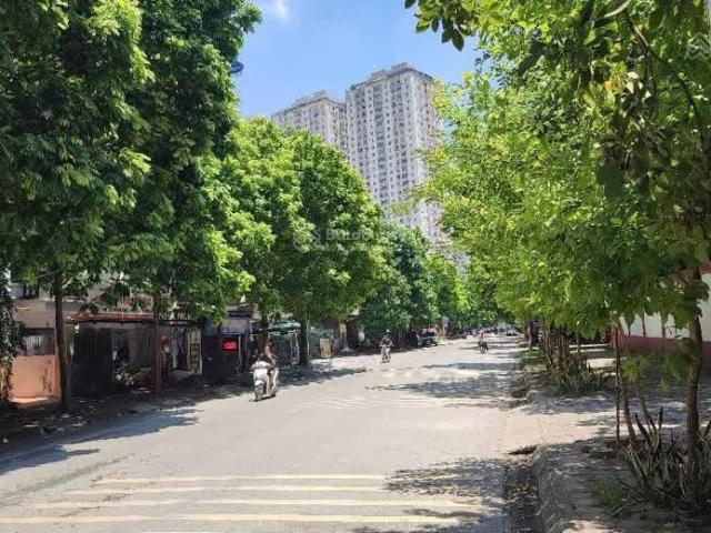 Bán căn biệt thự mặt đường Hạnh Hoa khu đô thị Xa La DT 120m2, vỉa hè kinh doanh đỉnh