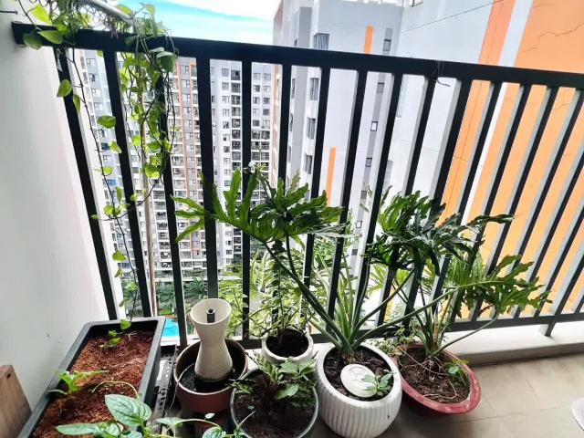 Bán Căn Góc Safira Khang Điền Tầng Cao, Nhiều Sáng, Nhiều Gió, Sổ Sẵn