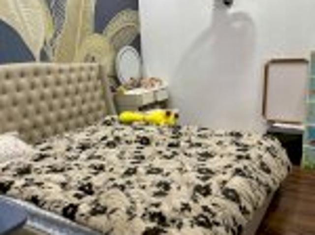 Bán Căn Hộ 66,7M2 Khu 3 Toà Hh03 Chung Cư Thanh Hà Cienco 5 Chỉ Hơn 3,2 Tỉ