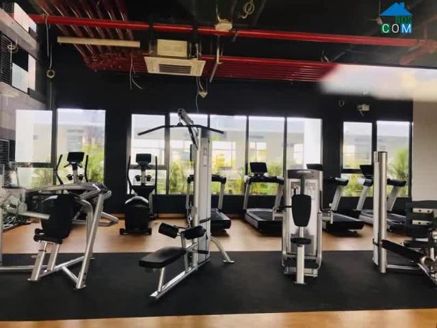 Bán Căn hộ cao cấp đường Tô Hiến Thành nhiều tiện ích free