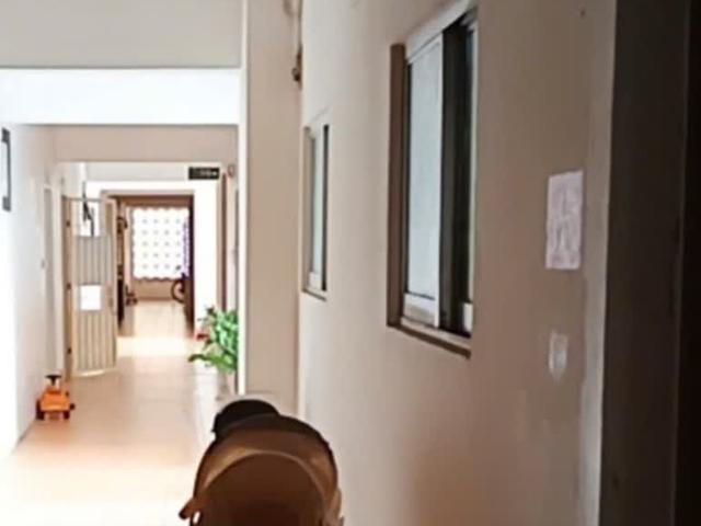 Bán Căn Hộ Chung Cư P901 – Kđt Mới Linh Đàm, Hoàng Mai Trung Tâm Bán Đảo Linh Đàm