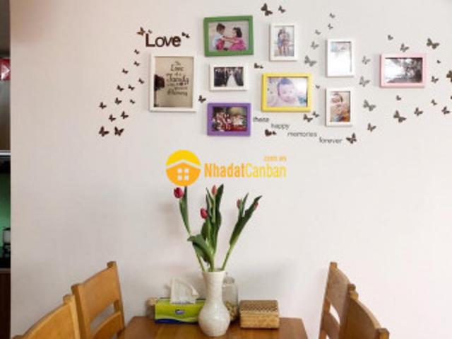 Bán căn hộ lotus garden, dt 52m2, 1pn, nt cơ bản, giá 2,550 tỷ, shr