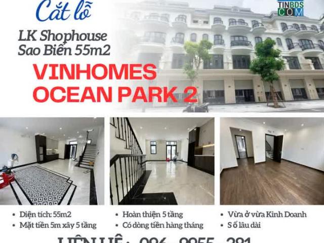Bán căn LK Shophouse SB 55m2 Vinhomes Ocean Park 2 hoàn thiện 5 tầng cho thuê sổ lâu dài