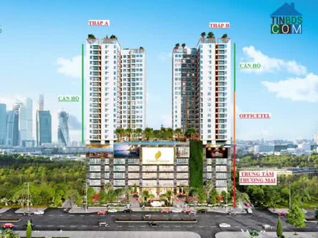 Bán Các Căn Hộ Chung Cư Và Văn Phòng Ở Quận 8 Central Premium