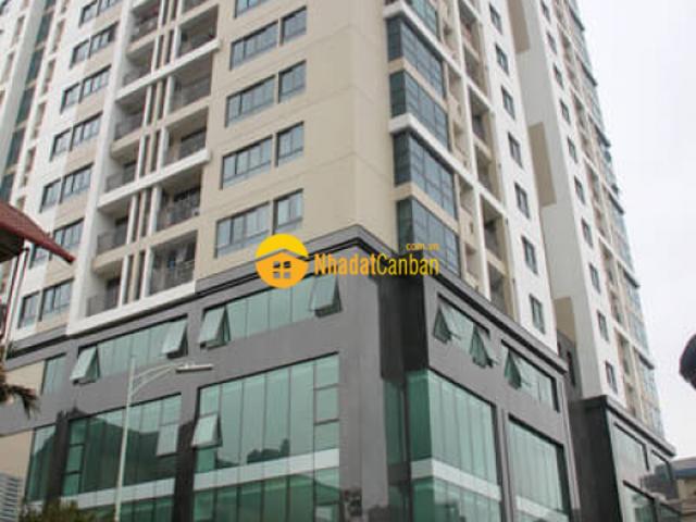 Bán chcc 48m2 trần bình cầu giấy, ô tô chạy vòng quanh, nội thất vip, giá hiếm 1.28 tỷ