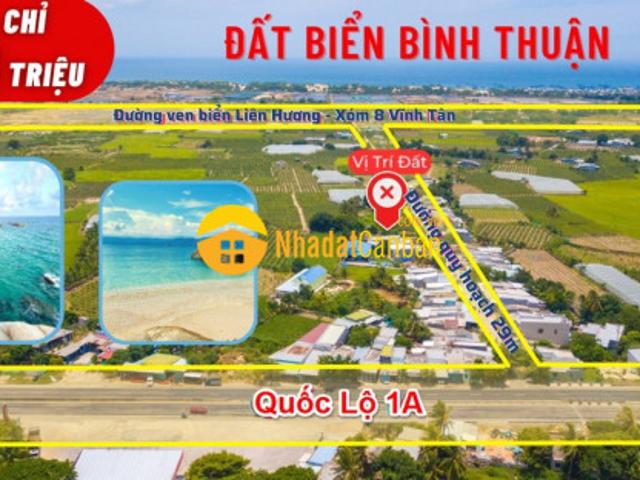 Ban đât biên liên hương binh thuân gia 800 triêu bao thuê phi
