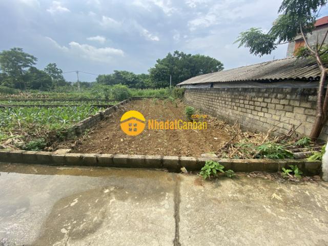 Ban đât hơn 1 ty gân dh09, hoa thach, quôc oai, ha nôi 140m2
