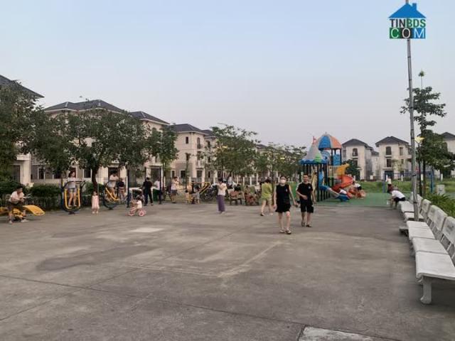 Bán Biệt thự trung tâm TP Từ Sơn Bắc Ninh giá rẻ giật mình