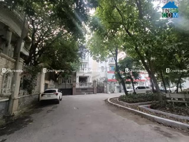 Bán Biệt thự Vườn Đào, Tây Hồ 203m2, Mt 15m giá 95 tỷ