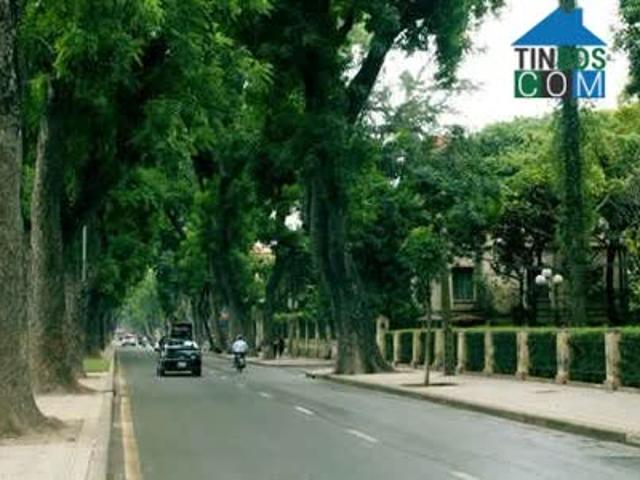 Bán biệt thự Vườn Đào, Tây Hồ 236m mặt tiền 15m, view vườn hoa 129 tỷ