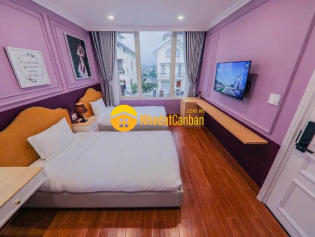 Bán biệt thự cao cấp khu dic an sơn view rừng thông đẹp