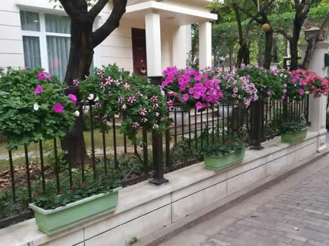 Bán Biệt Thự Cao Cấp Splendora Bắc An Khánh, DT 210M2 Giá Chỉ 29 Tỷ