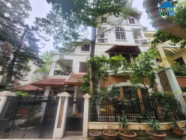 Bán biệt thự Dịch Vọng 145m2, sổ đỏ chính chủ đang cất két, giá thương lượng có ra lộc