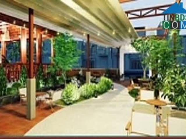 Bán biệt thự dát vàng kèm quán Cafe 2 mặt tiền Đại hạ giá Tại phường Bình Phước, TP. Đồng