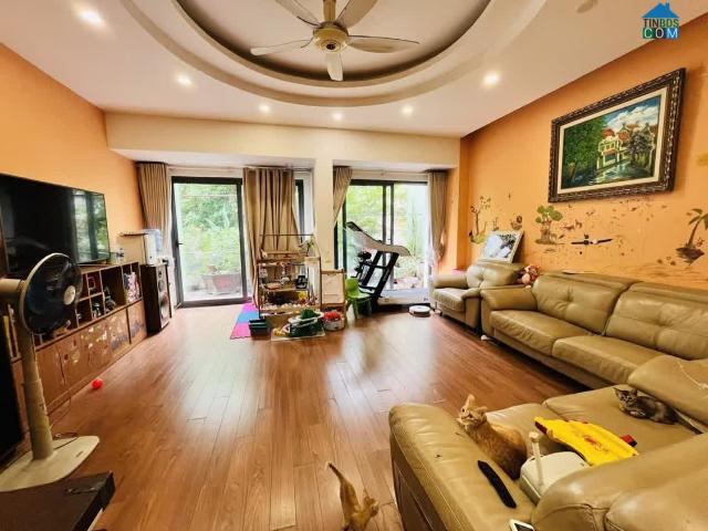 Bán Biệt thự KĐT Dịch Vọng, Cầu Giấy, 103m x 4T, 2 thoáng