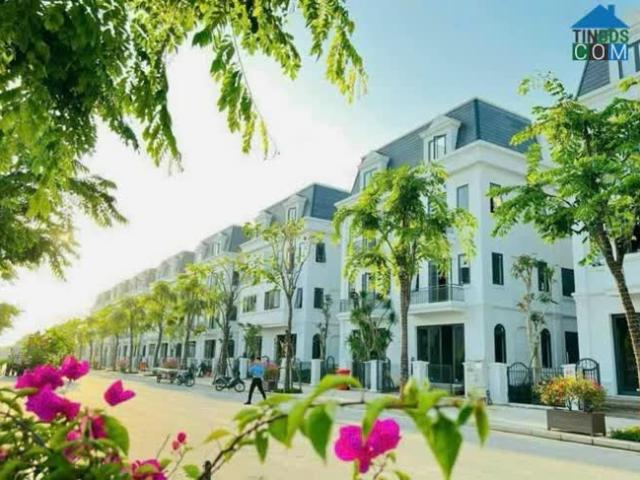 Bán biệt thự khu B KĐT Dương Nội. Hỗ trợ lãi suất 0% trong 36 tháng. Giá từ 20,5 tỷ
