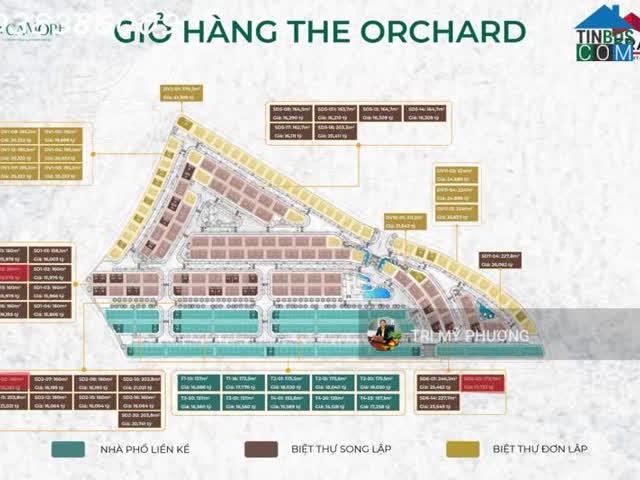 Bán biệt thự, nhà phố The Orchard, Sycamore, đối diện Aeon Mall, Giá bán gốc từ CĐT Capitaland