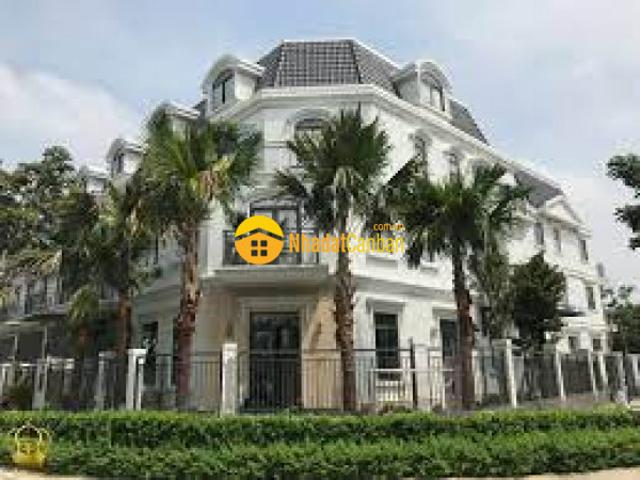 Bán biệt thự đôi ng văn linh, bình thuận, q7. Dt đất 493m2, xd 1tr 2l giá 43 tỷ tl