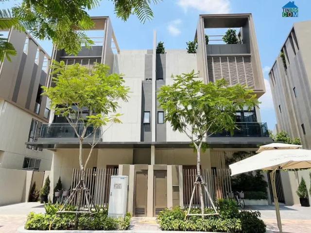 Bán biệt thự song lập 4 tầng DTSD 242M2 10x16, Sycamore The Orchard Capitaland chỉ 14.5 tỷ
