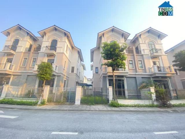 Bán Biệt Thự Song Lập 135m² Hướng Nam Tại KĐT Xanh Centa City