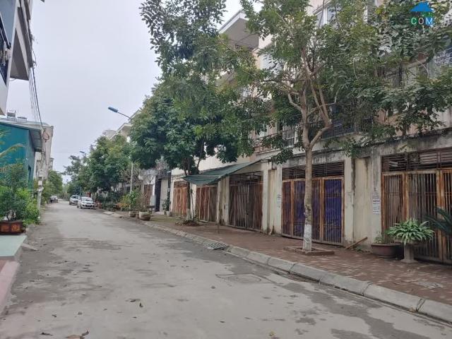 Bán Biệt Thự Song Lập 175M2 Tại KDT Tân Tây Đô Sdt Liên Hệ: 0915458