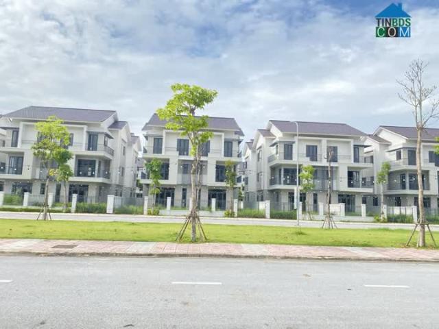 Bán Biệt Thự Song Lập 180m² View Công Viên 7ha, Centa Riveside Từ Sơn